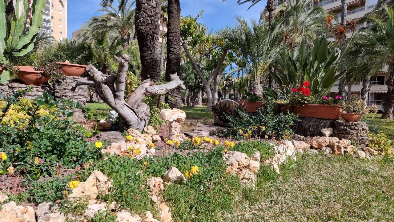 Apartament Palm Beach-El Palmeral Torrevieja Kültér fotó